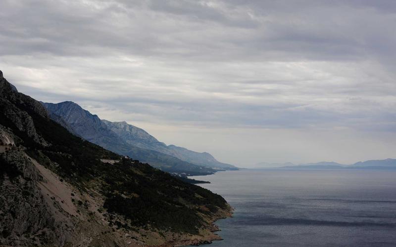 SMO explicado: la optimización orgánica de tus redes