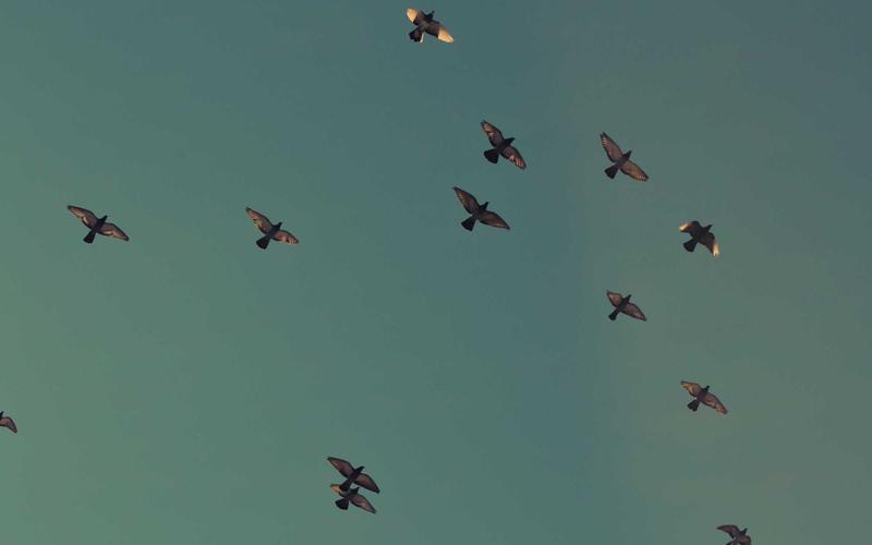 Enlaces nofollow, sponsored y UGC: cómo afectan al SEO